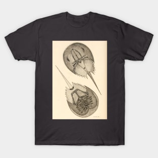 Horseshoe Crab T-Shirt